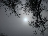 nte Fontane-201011107 058